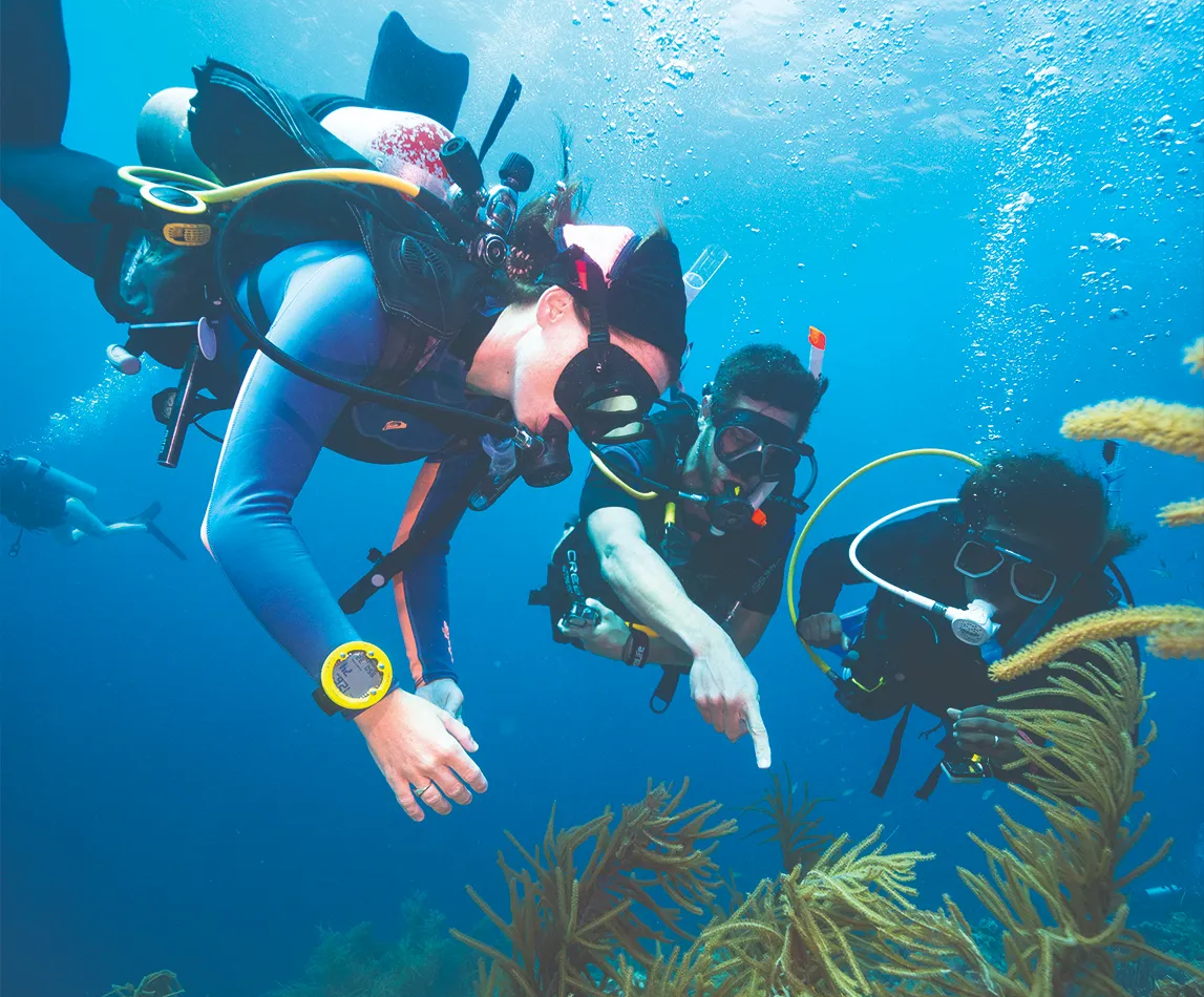 Advanced Open Water Diver