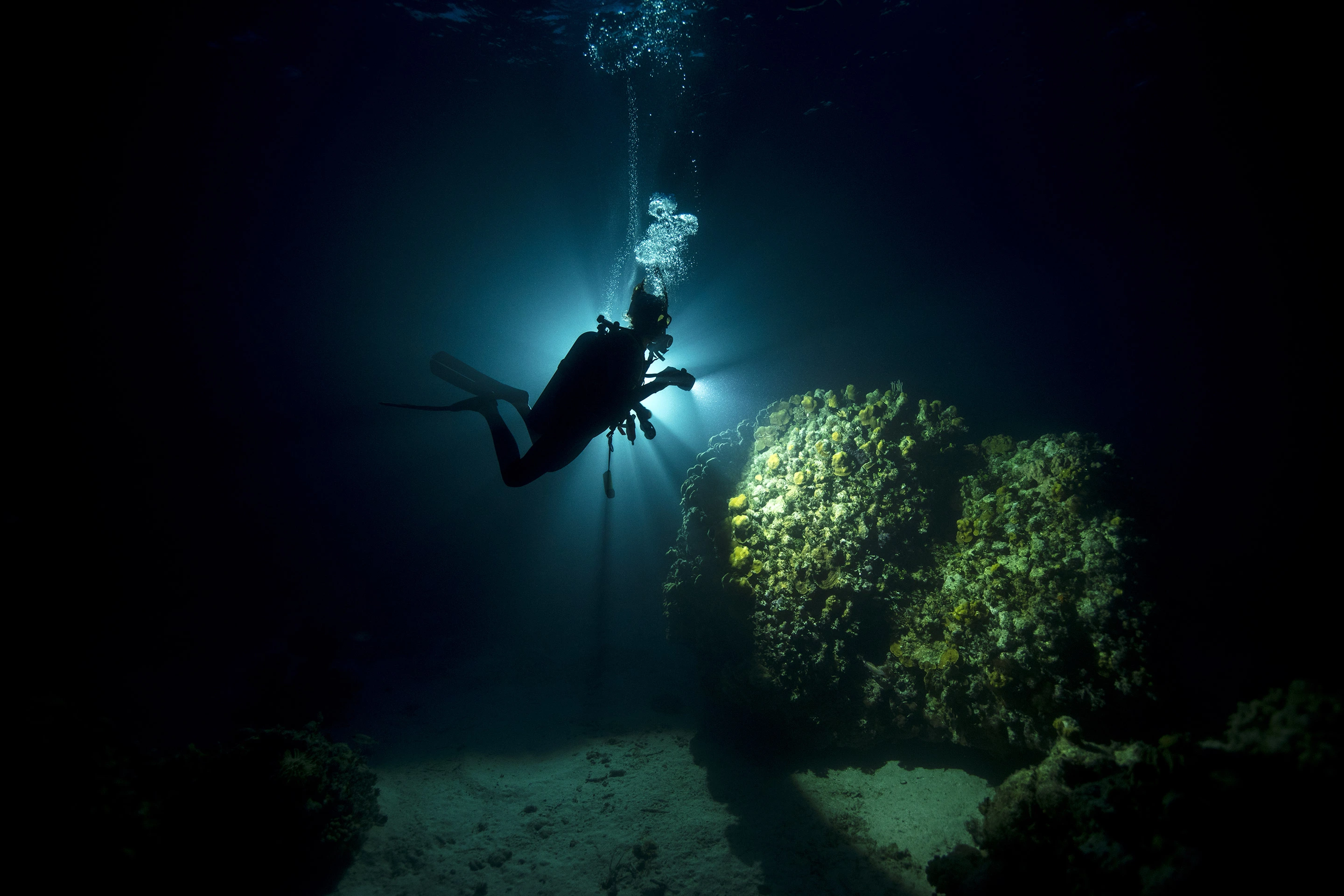 Buceo Nocturno