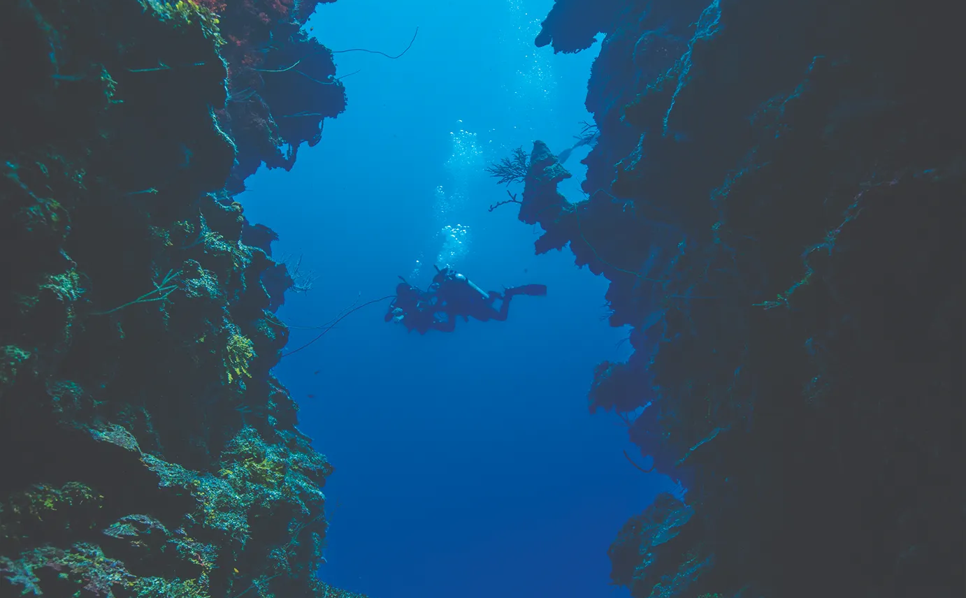Buceo Profundo