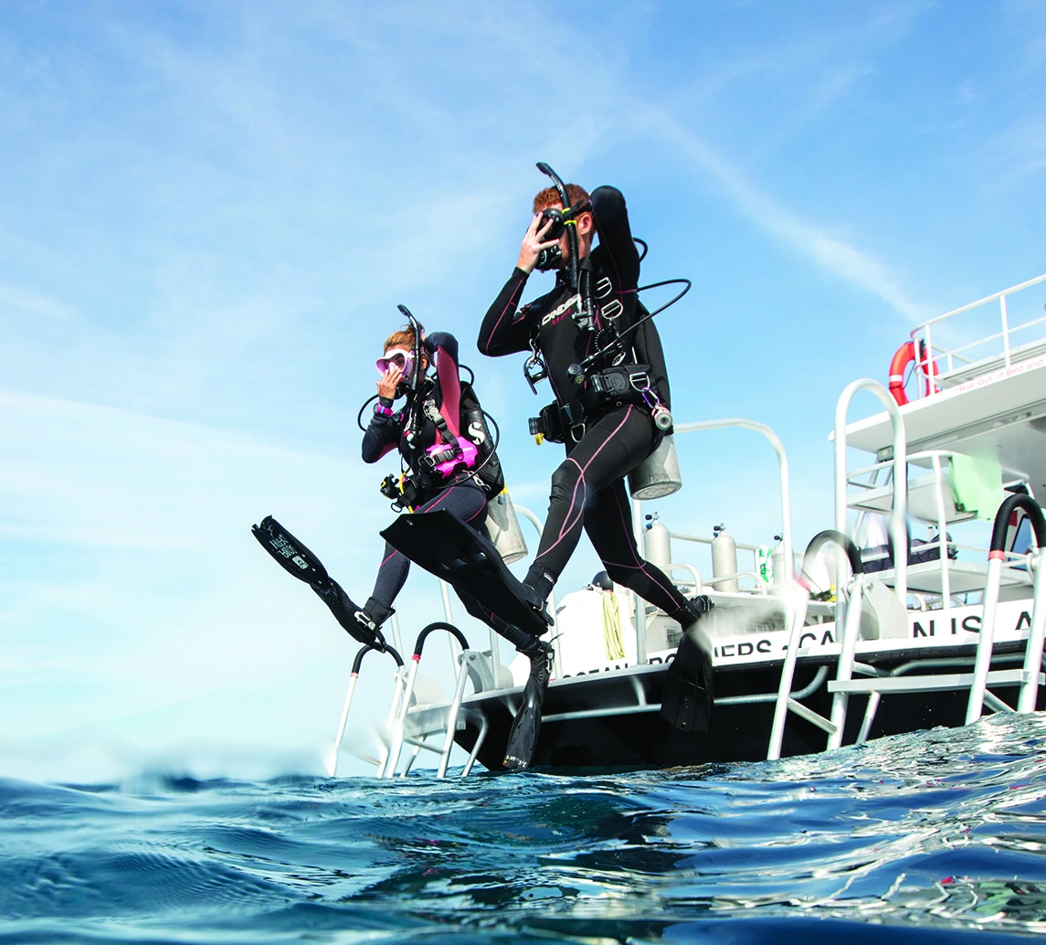 Reactivate - Reactivación de buceo