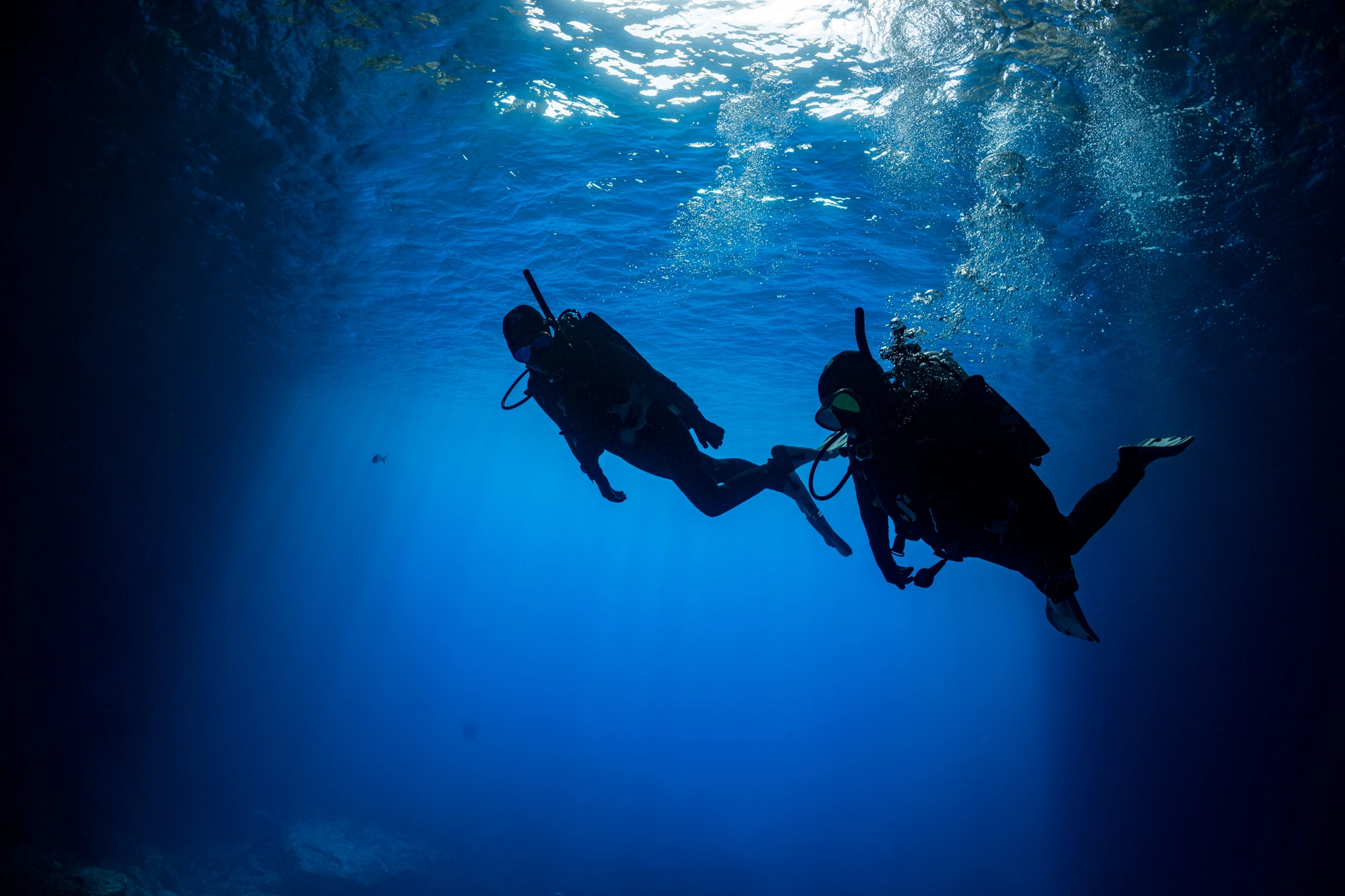Scuba Diver